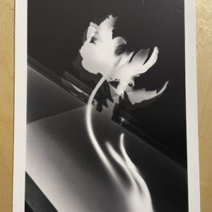 Tirage "Photogrammes" - Vivian Olmi