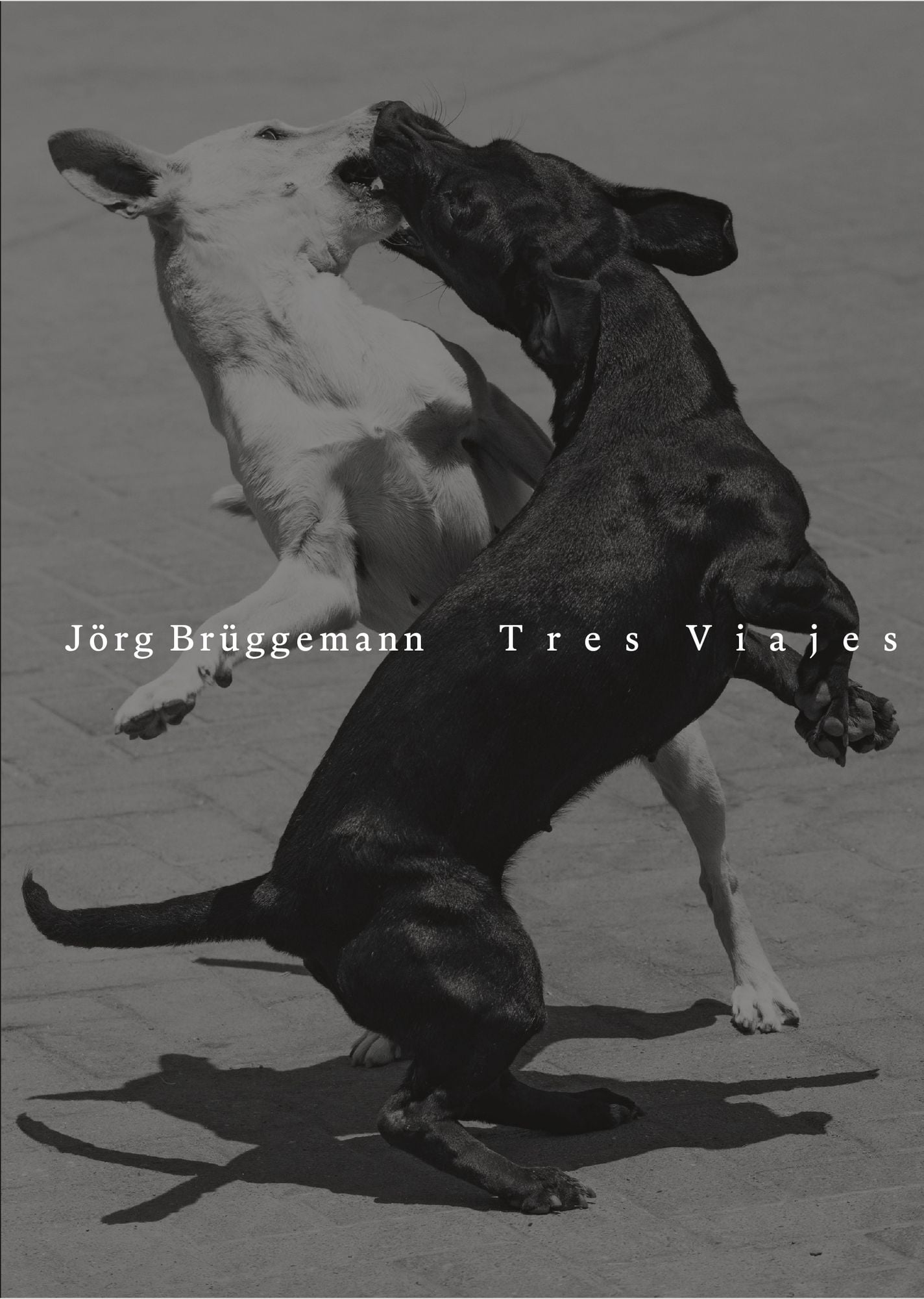 joerg-brueggemann-tres-viajes-gebundene-ausgabe-joerg-brueggemann