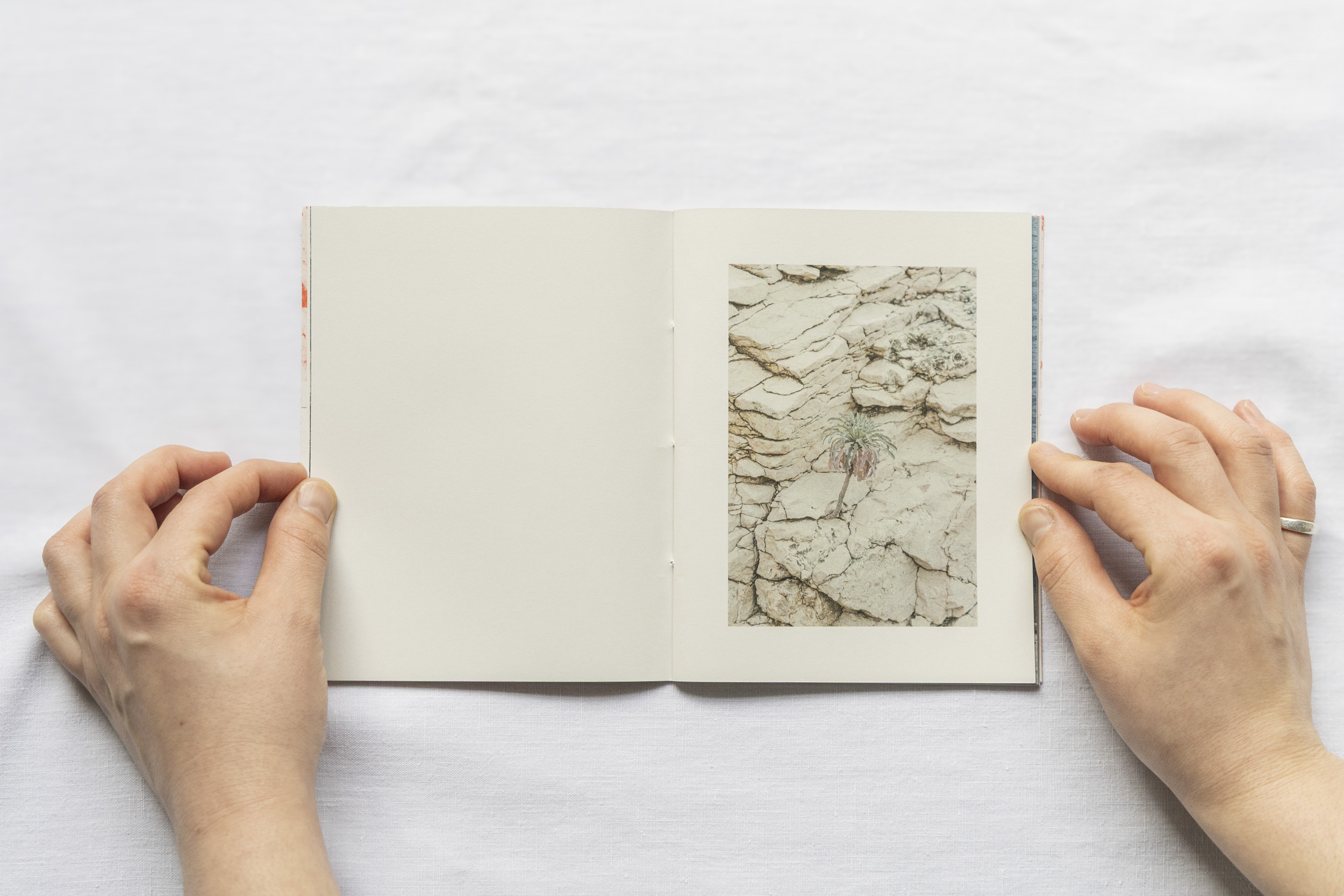 le chemin dans les détours - Aude Mayer, Léo Berney, Marie Brocher – Image 3