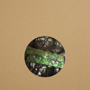 Into the Forest I go - Alex Llovet
