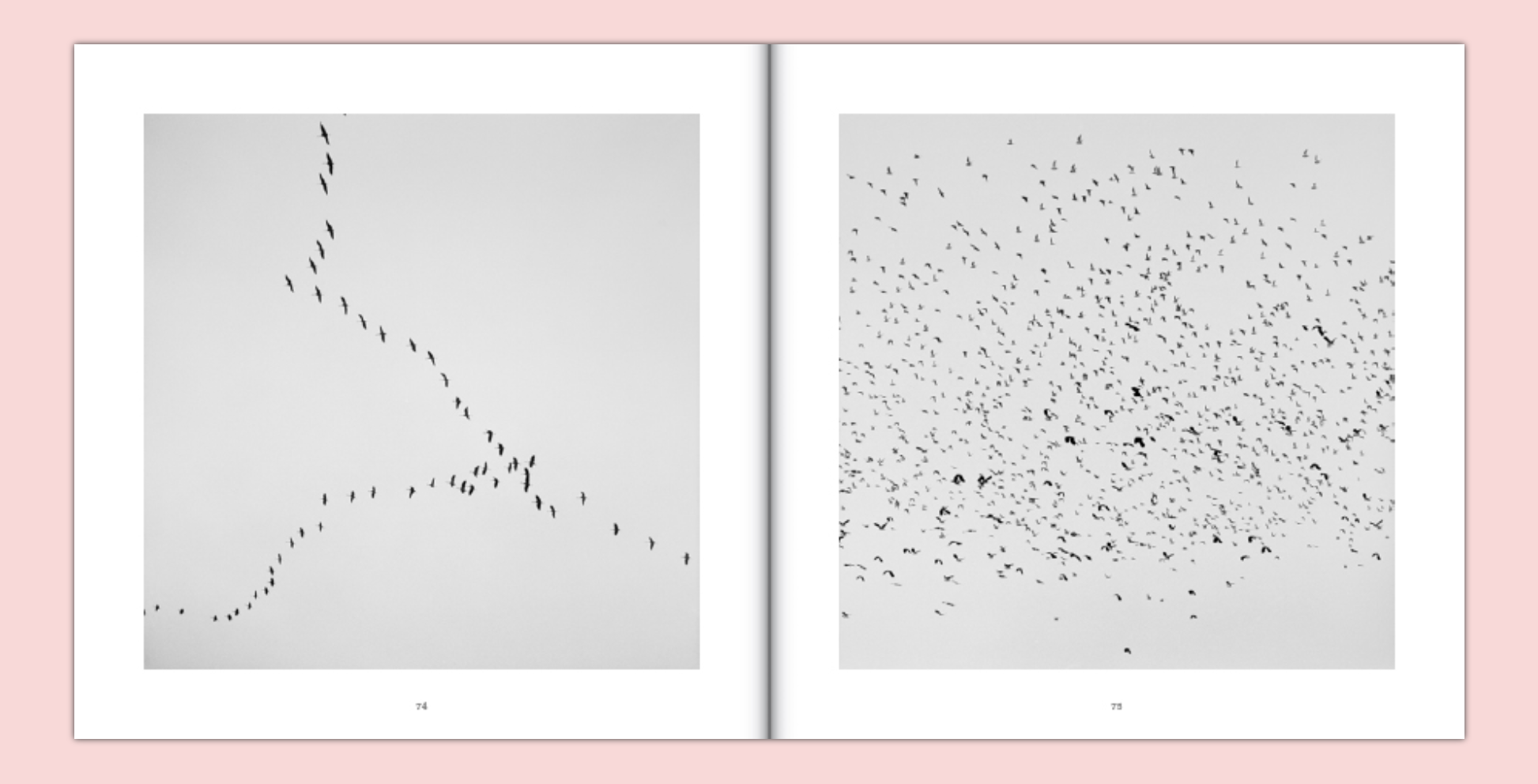 Là où souffle le vent - Bernard Descamps – Image 2