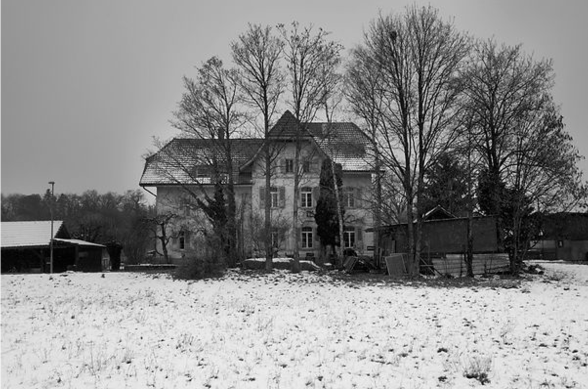 TERRE NOIRE - Patrick Gilliéron Lopreno – Image 4