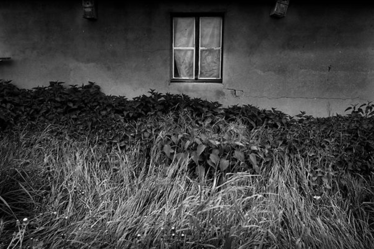 TERRE NOIRE - Patrick Gilliéron Lopreno – Image 3