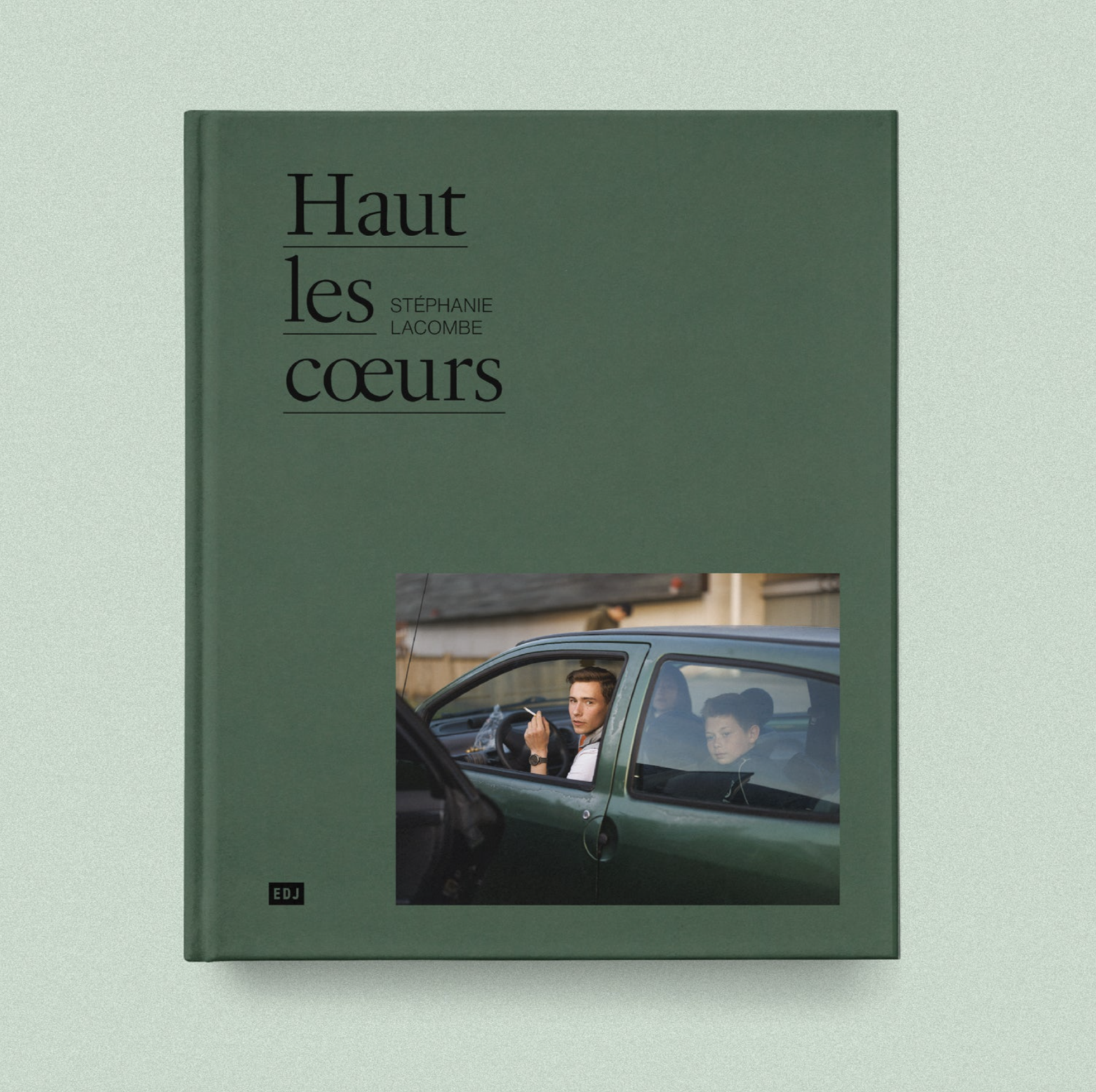 Haut les cœurs - Lacombe Stéphanie