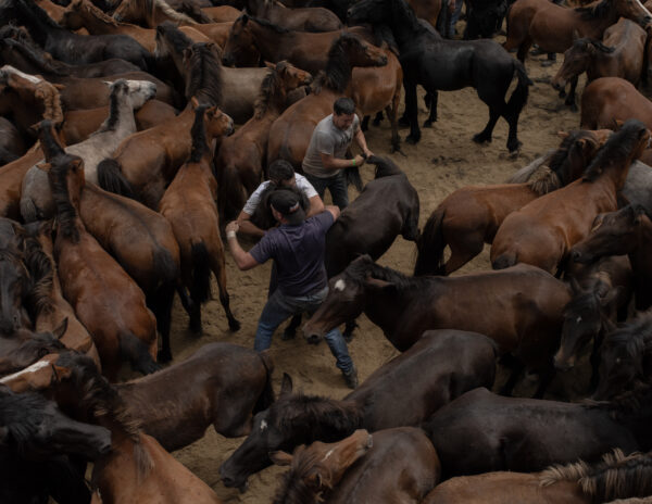 04. « Rapa », de la série « Down the Garden Path », 2024 ©Yohan Nieto