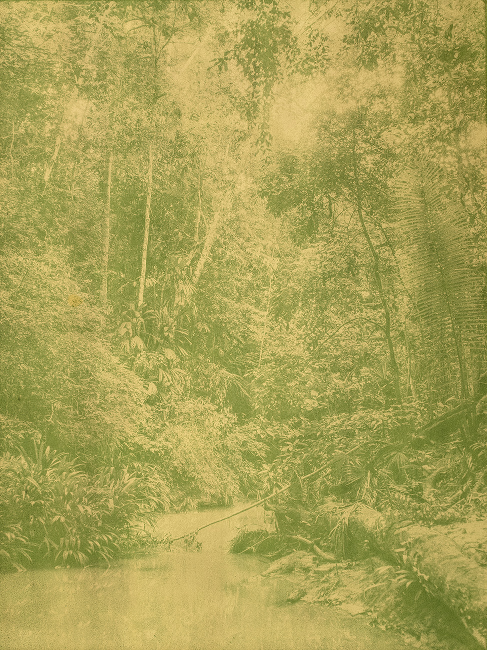 Aya - Yann Gross & Arguiñe Escandón – Image 4